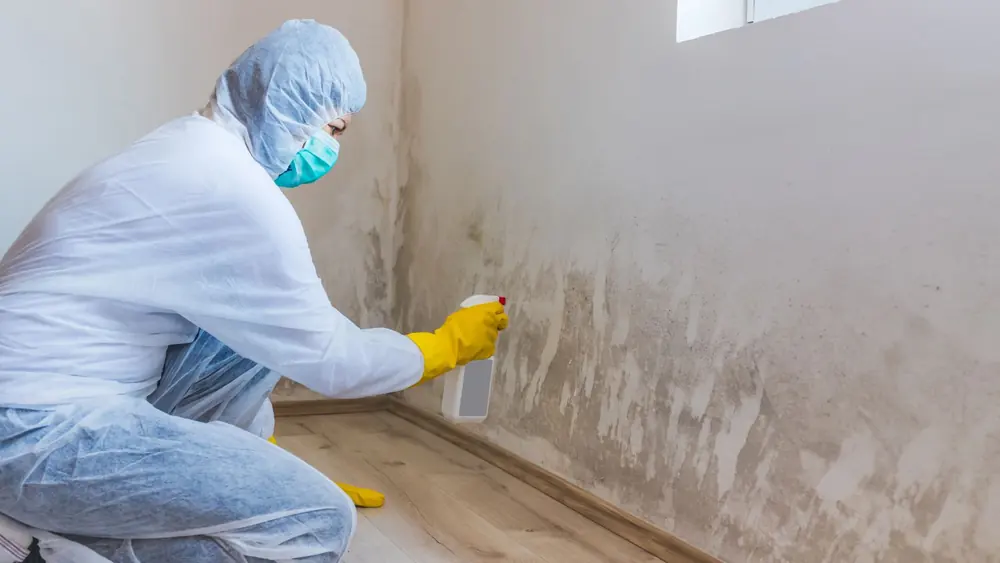 Worker in protective gear and gloves treating the corner of a mold-stained wall