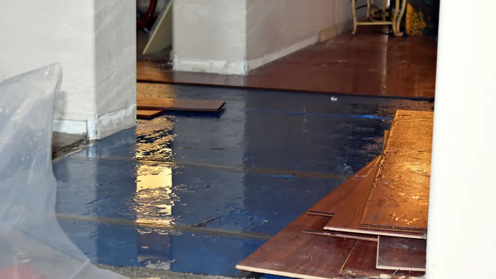 Hardwood planks pulled up from a wet floor with plastic sheeting along the wall