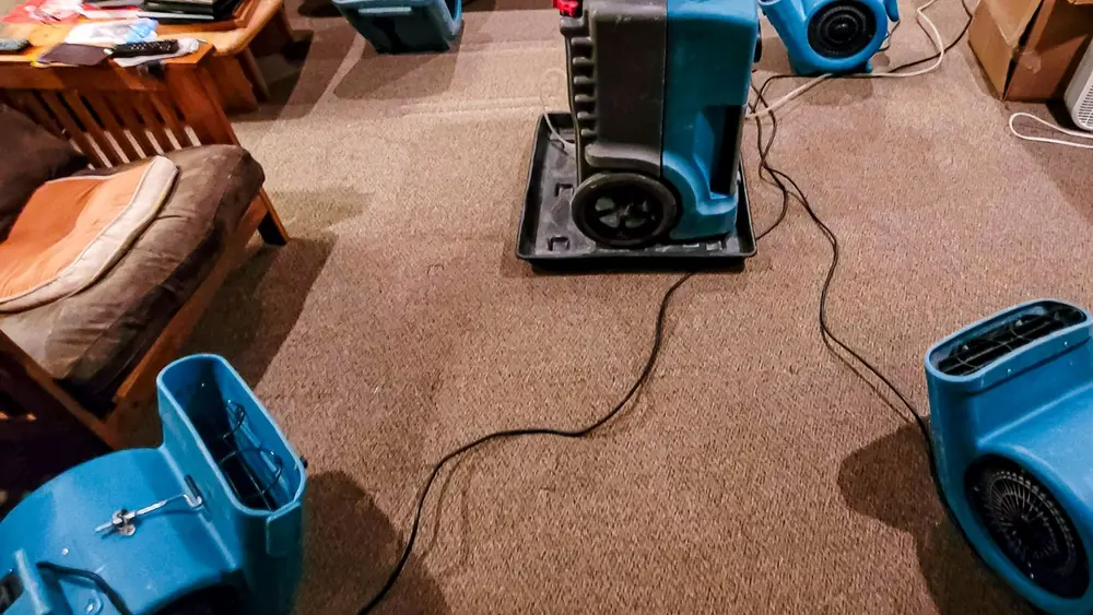 Dehumidifier and two air movers running on wet carpet in a room
