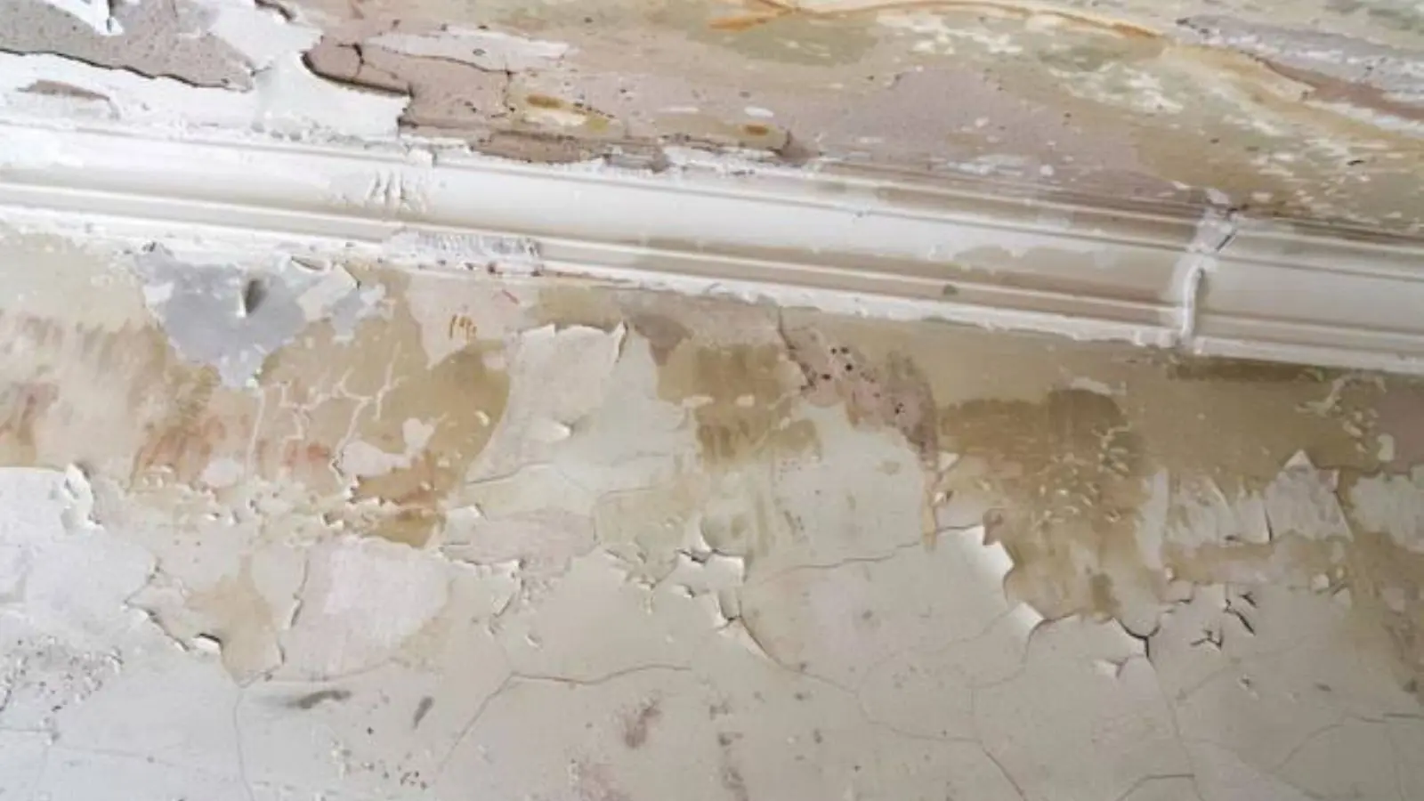 Peeling paint and stained plaster along a wall and baseboard